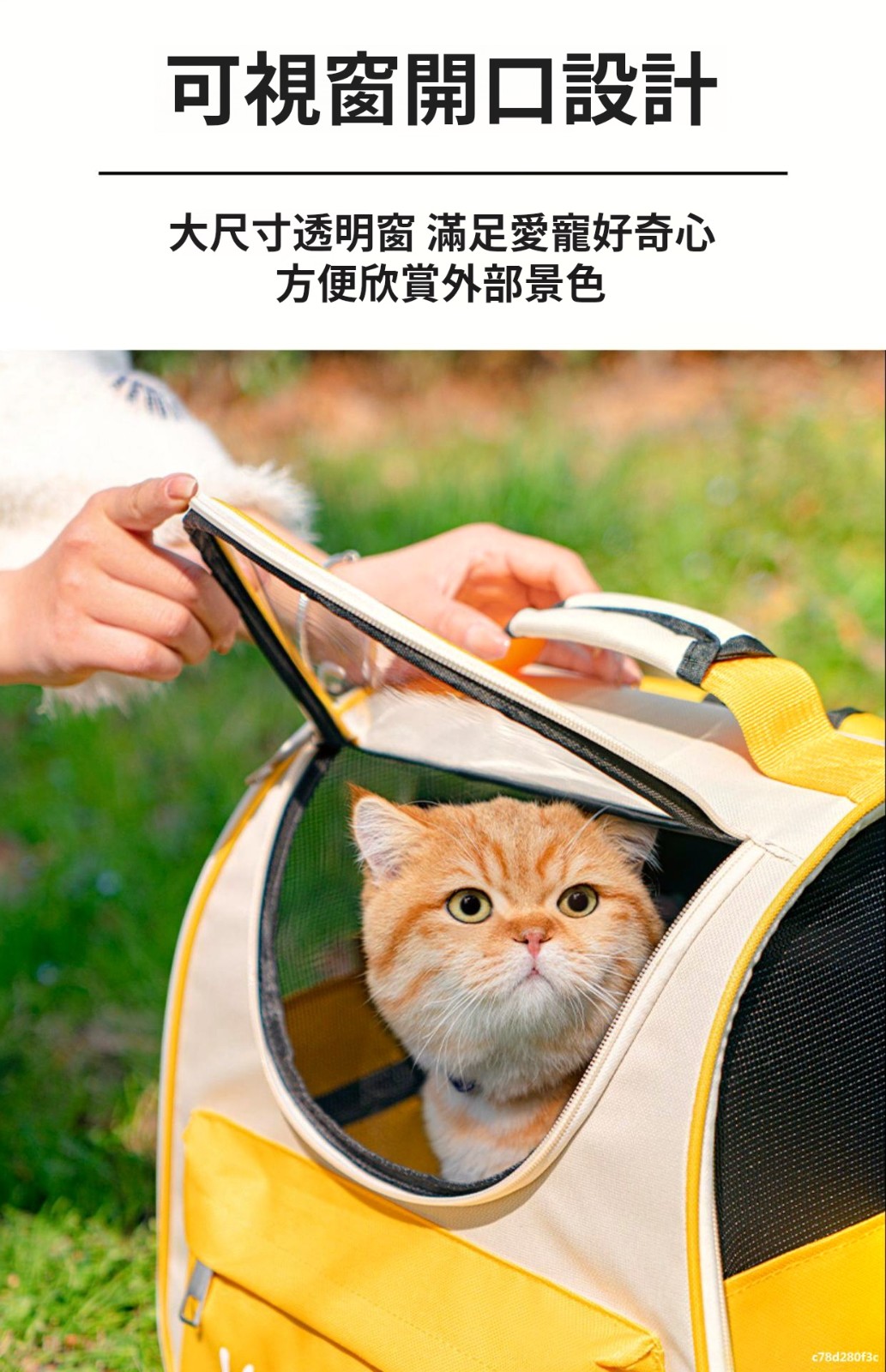 1743155521995447.jpg